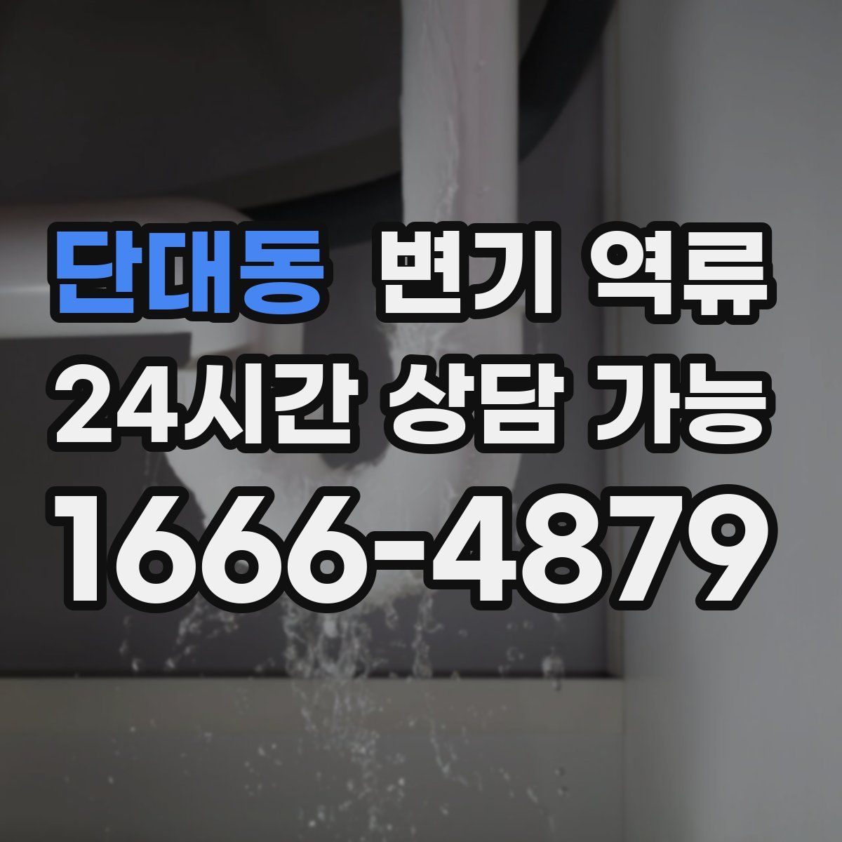 단대동 변기 역류