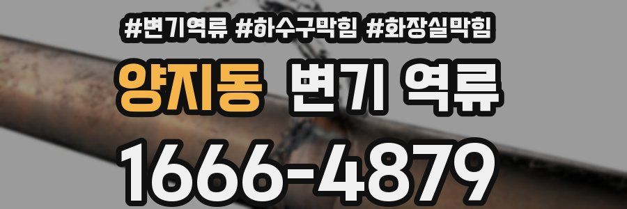 양지동 변기 역류