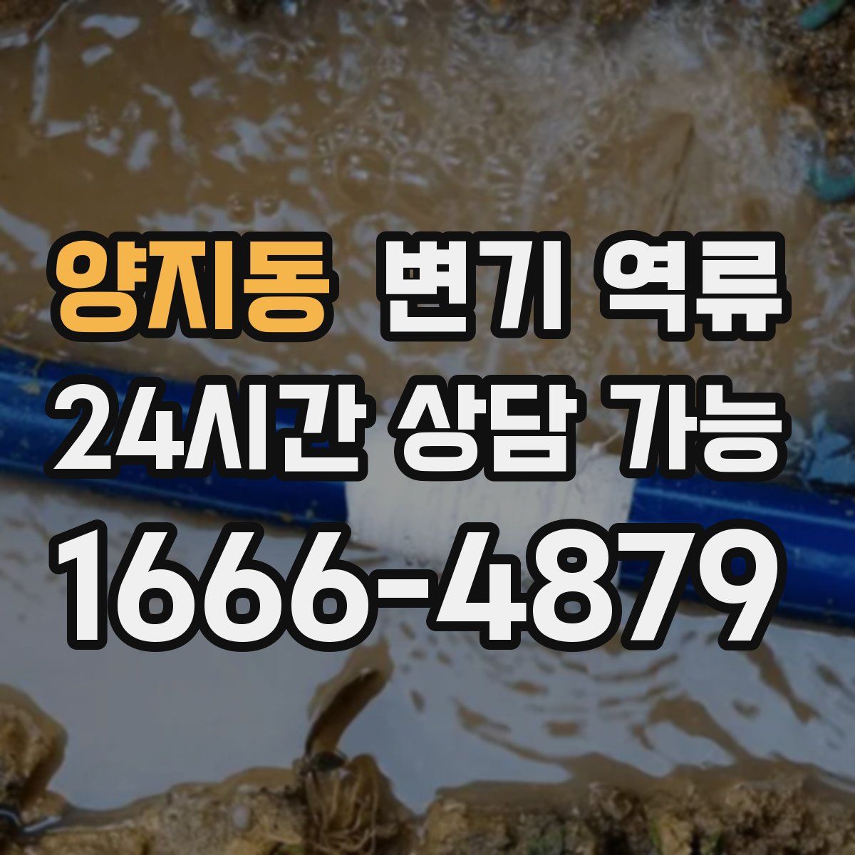 양지동 변기 역류