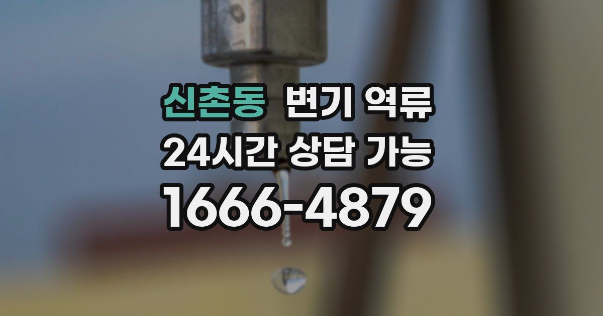 신촌동 변기 역류