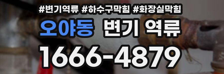 오야동 변기 역류