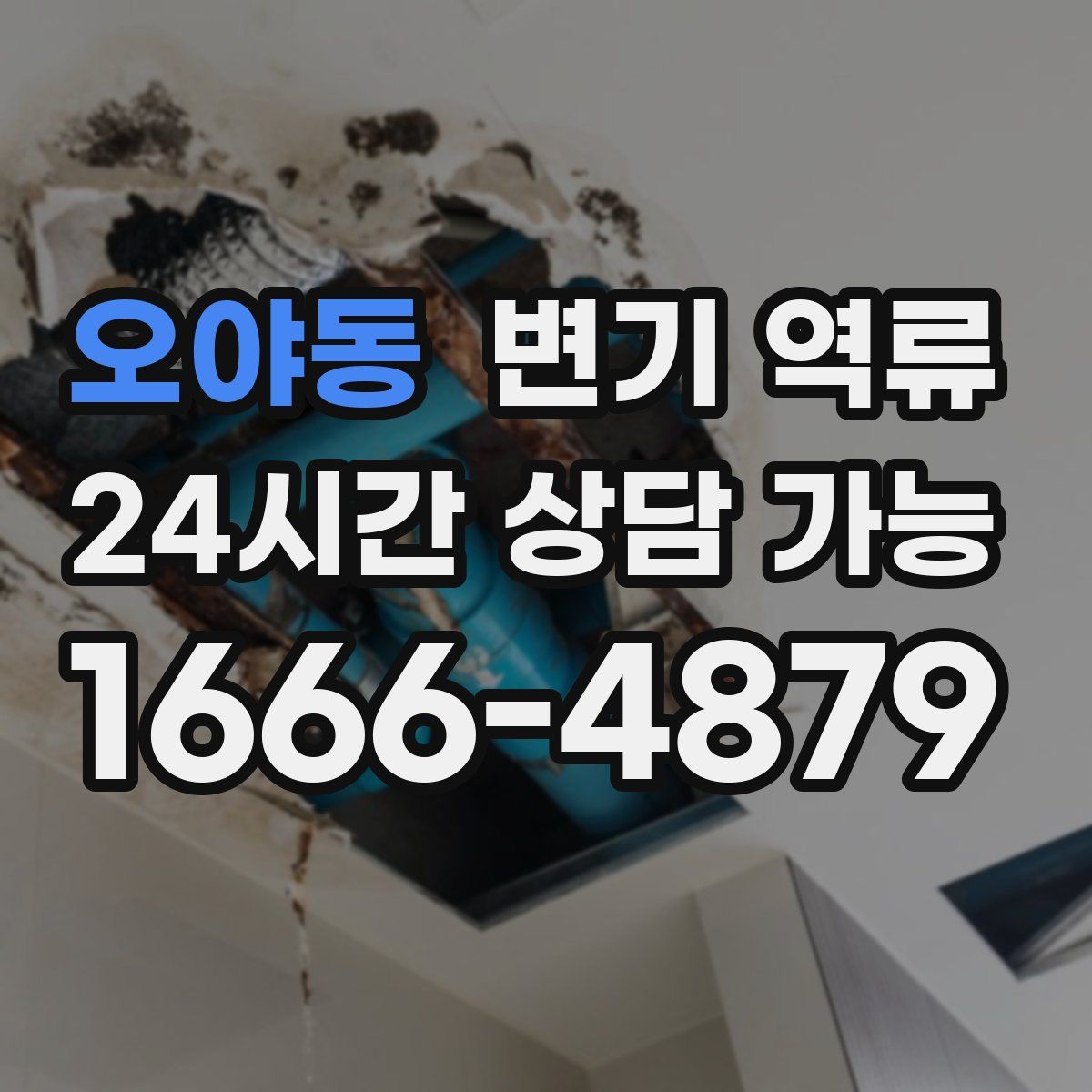 오야동 변기 역류