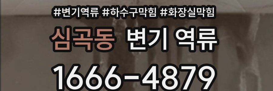 심곡동 변기 역류