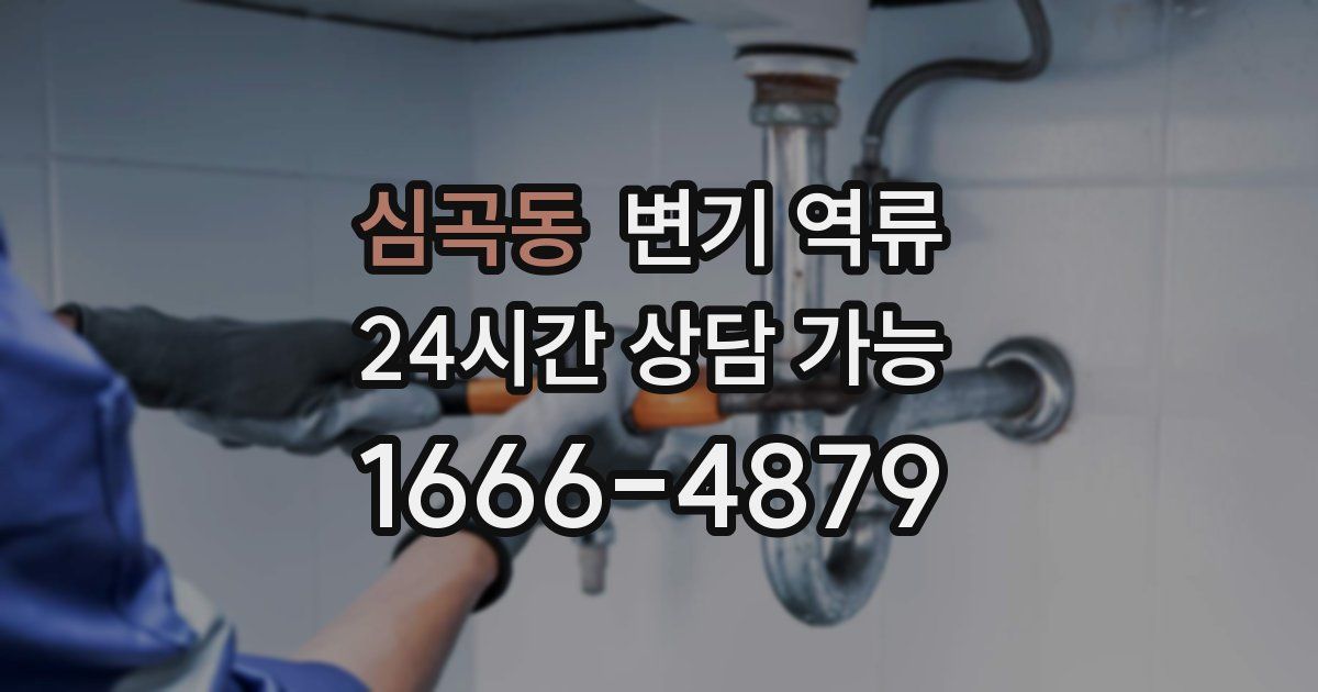 심곡동 변기 역류