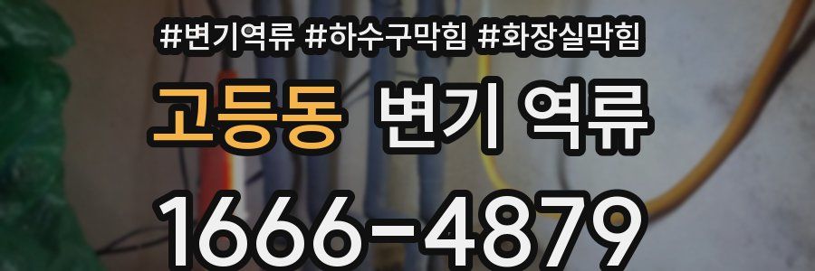 고등동 변기 역류