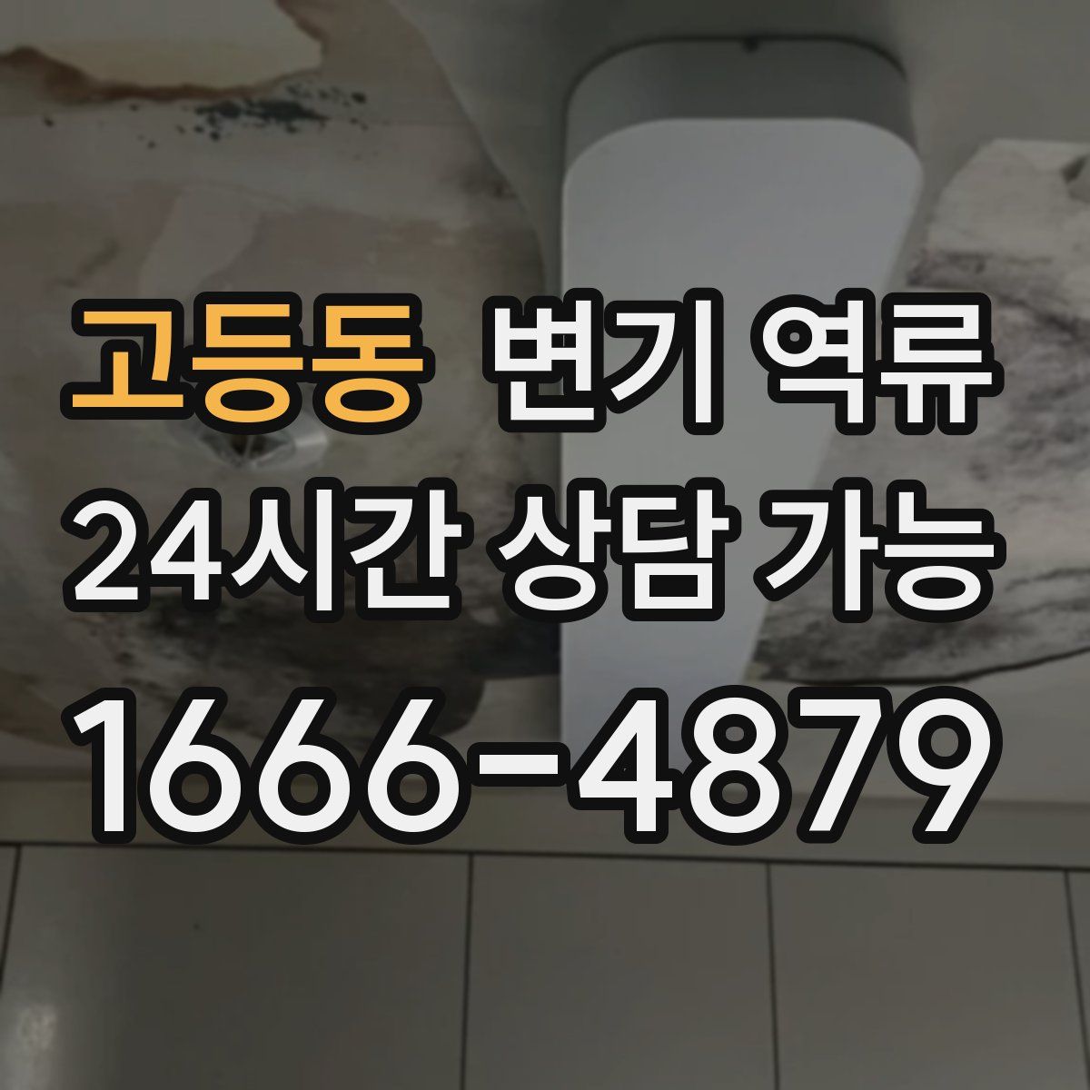 고등동 변기 역류