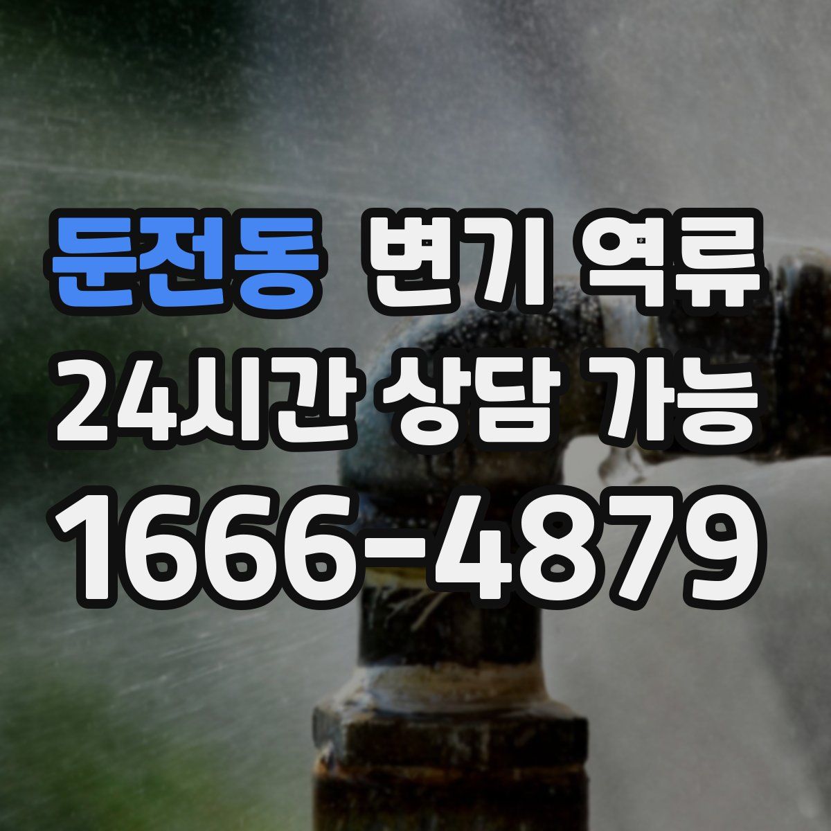 둔전동 변기 역류