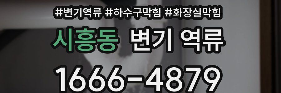 시흥동 변기 역류