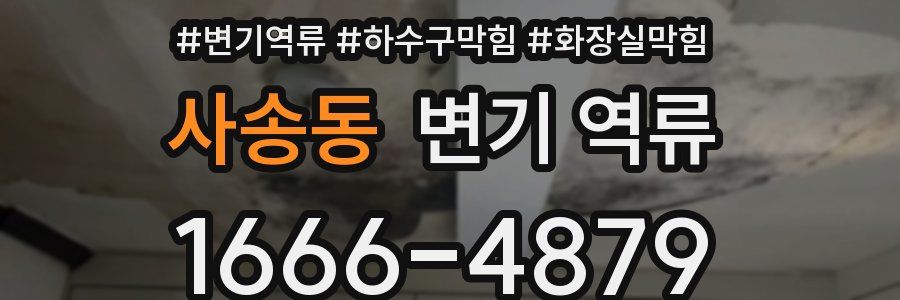 사송동 변기 역류