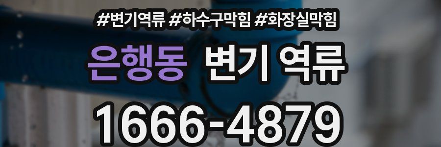 은행동 변기 역류