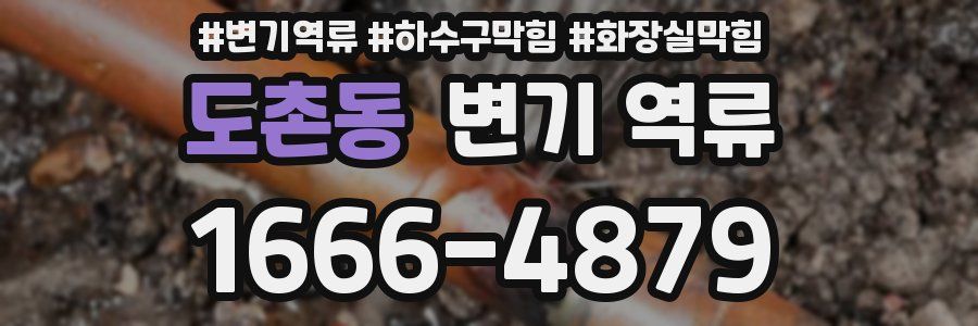 도촌동 변기 역류