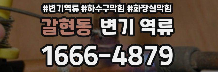 갈현동 변기 역류