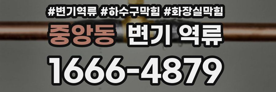 중앙동 변기 역류