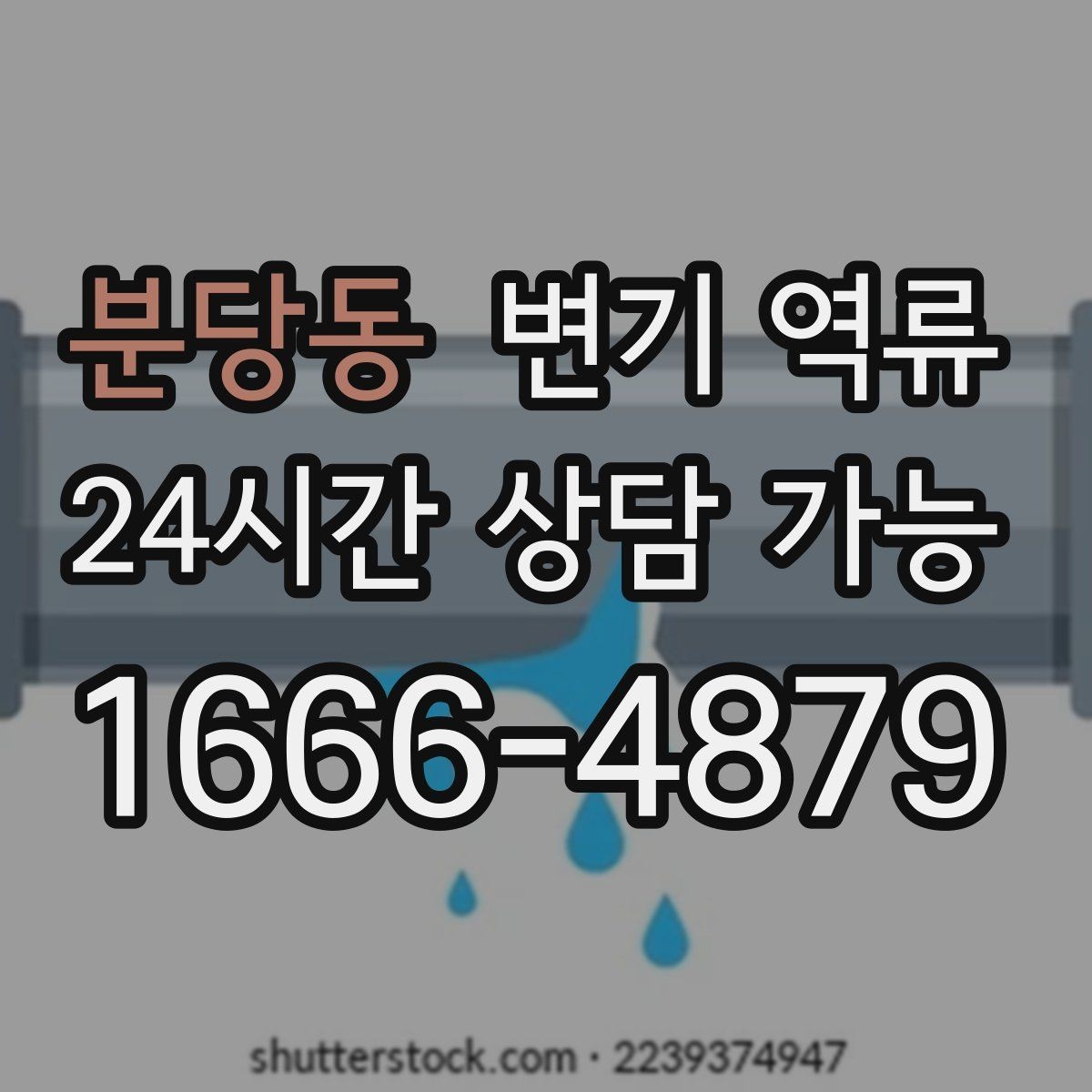 분당동 변기 역류 초기 신호부터 재발 방지 안내이물 투입 금지/휴지 과다 사용 주의/배수