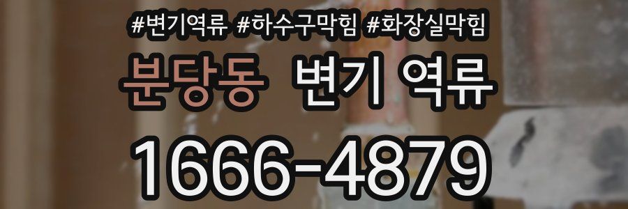 분당동 변기 역류