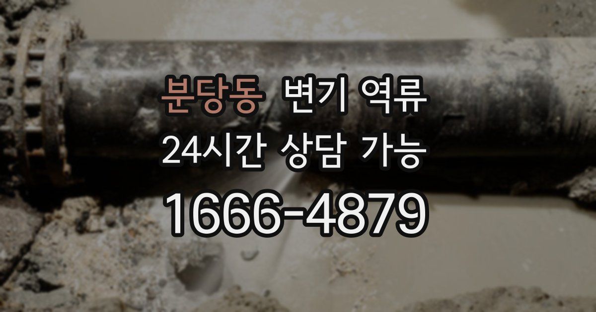 분당동 변기 역류