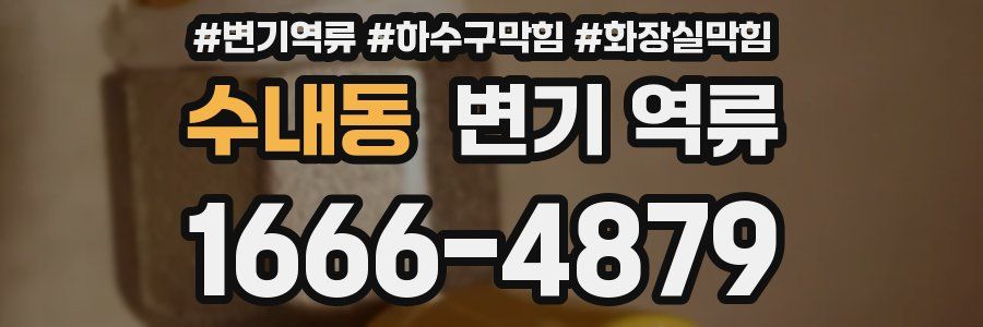 수내동 변기 역류