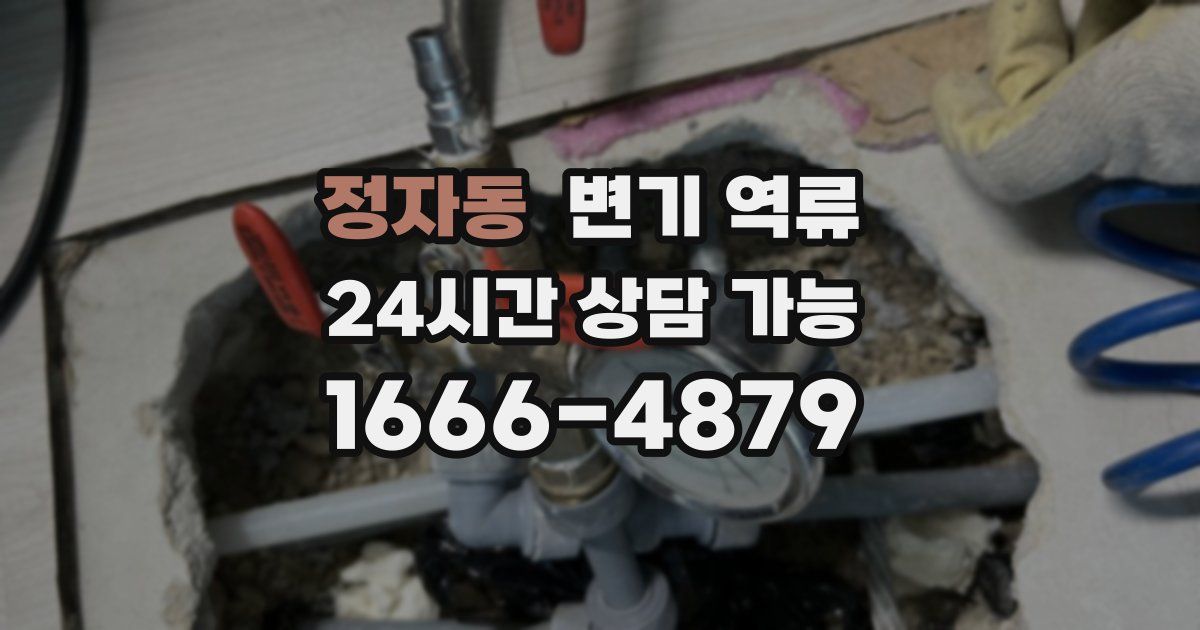 정자동 변기 역류