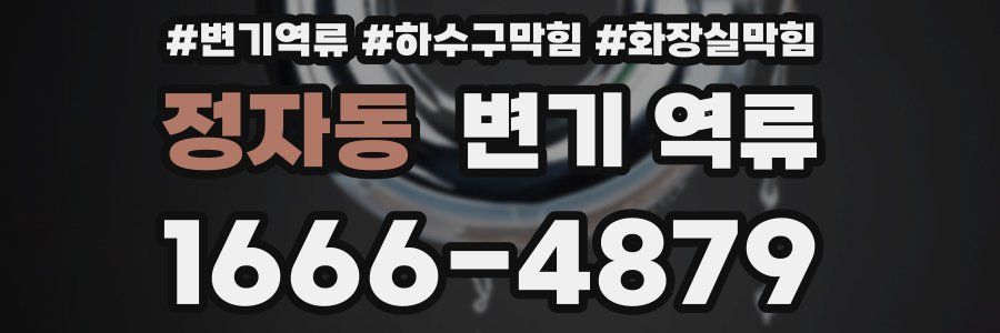 정자동 변기 역류