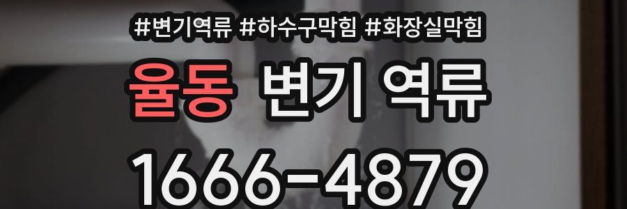 율동 변기 역류