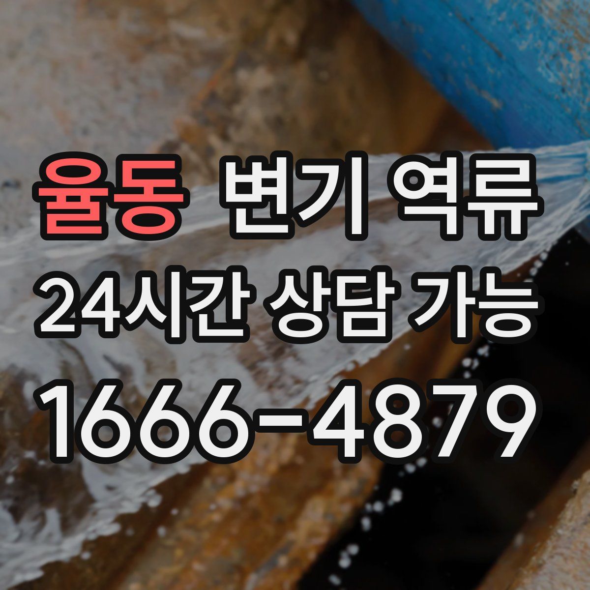 율동 변기 역류