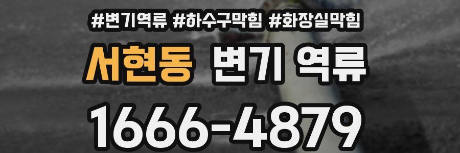 서현동 변기 역류