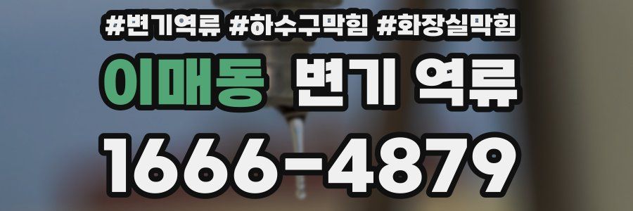 이매동 변기 역류