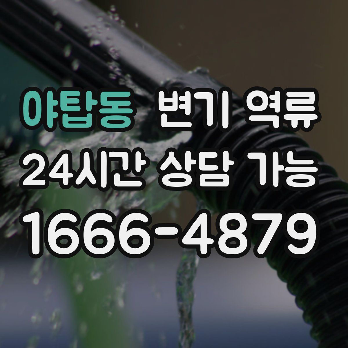 야탑동 변기 역류