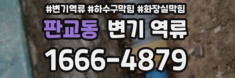 판교동 변기 역류