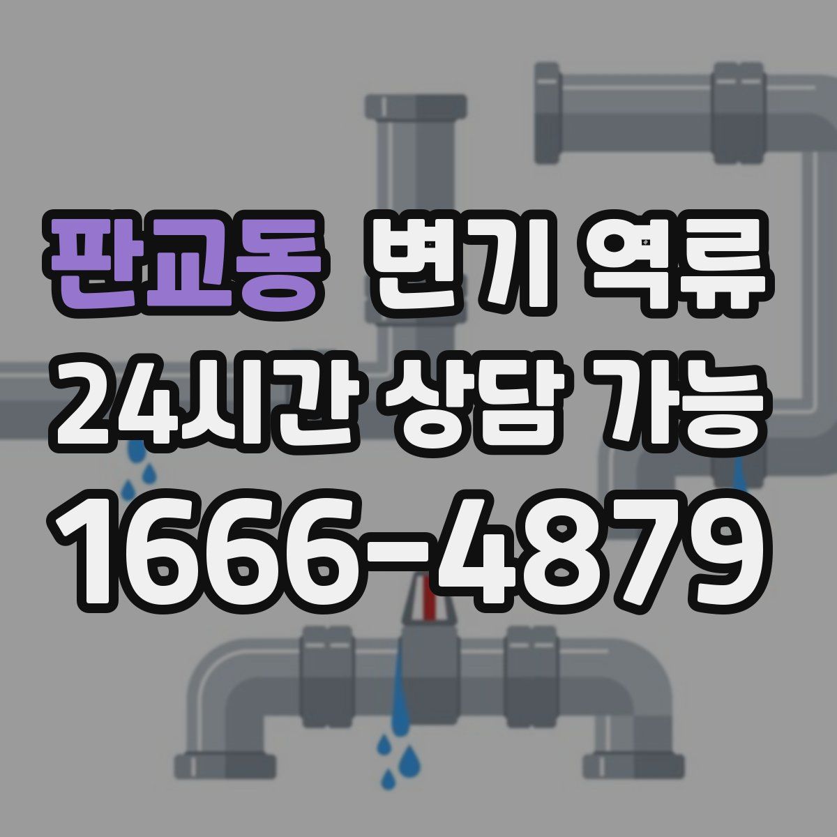 판교동 변기 역류