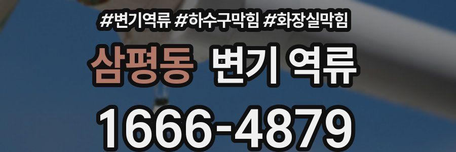 삼평동 변기 역류