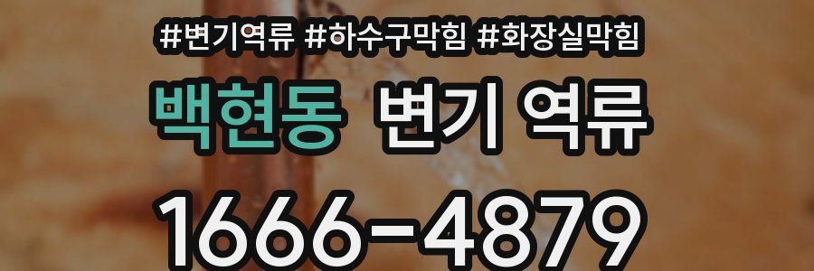 백현동 변기 역류