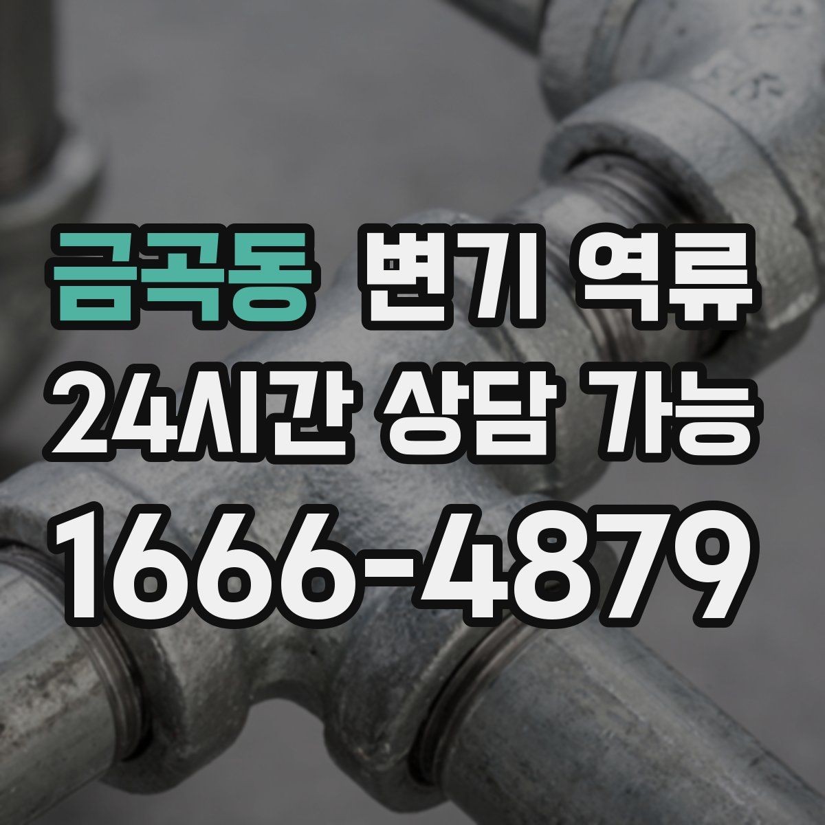 금곡동 변기 역류 같은 시간대에 반복되면 공용 배관 가능성