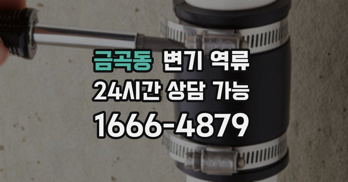 금곡동 변기 역류