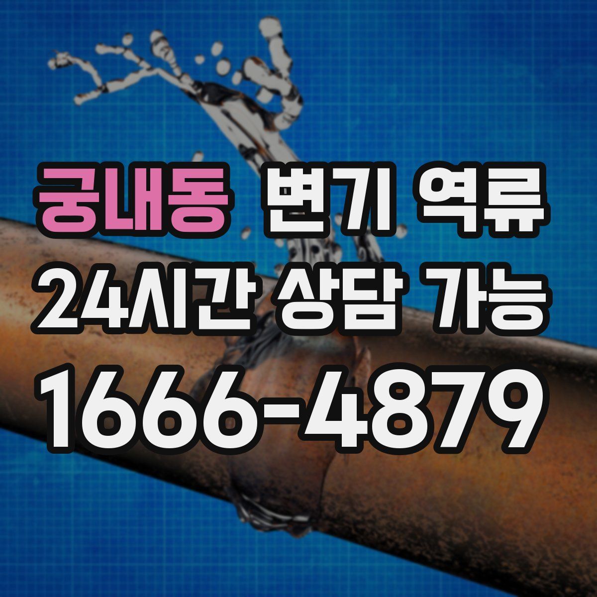 궁내동 변기 역류