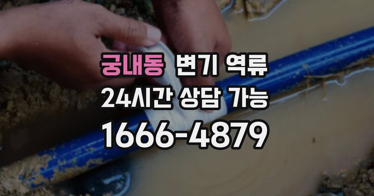 궁내동 변기 역류