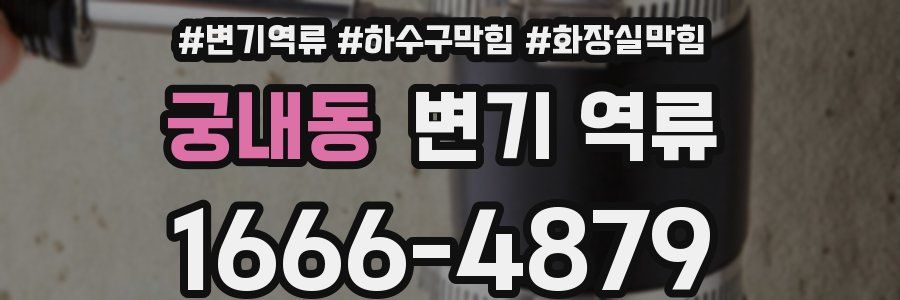 궁내동 변기 역류