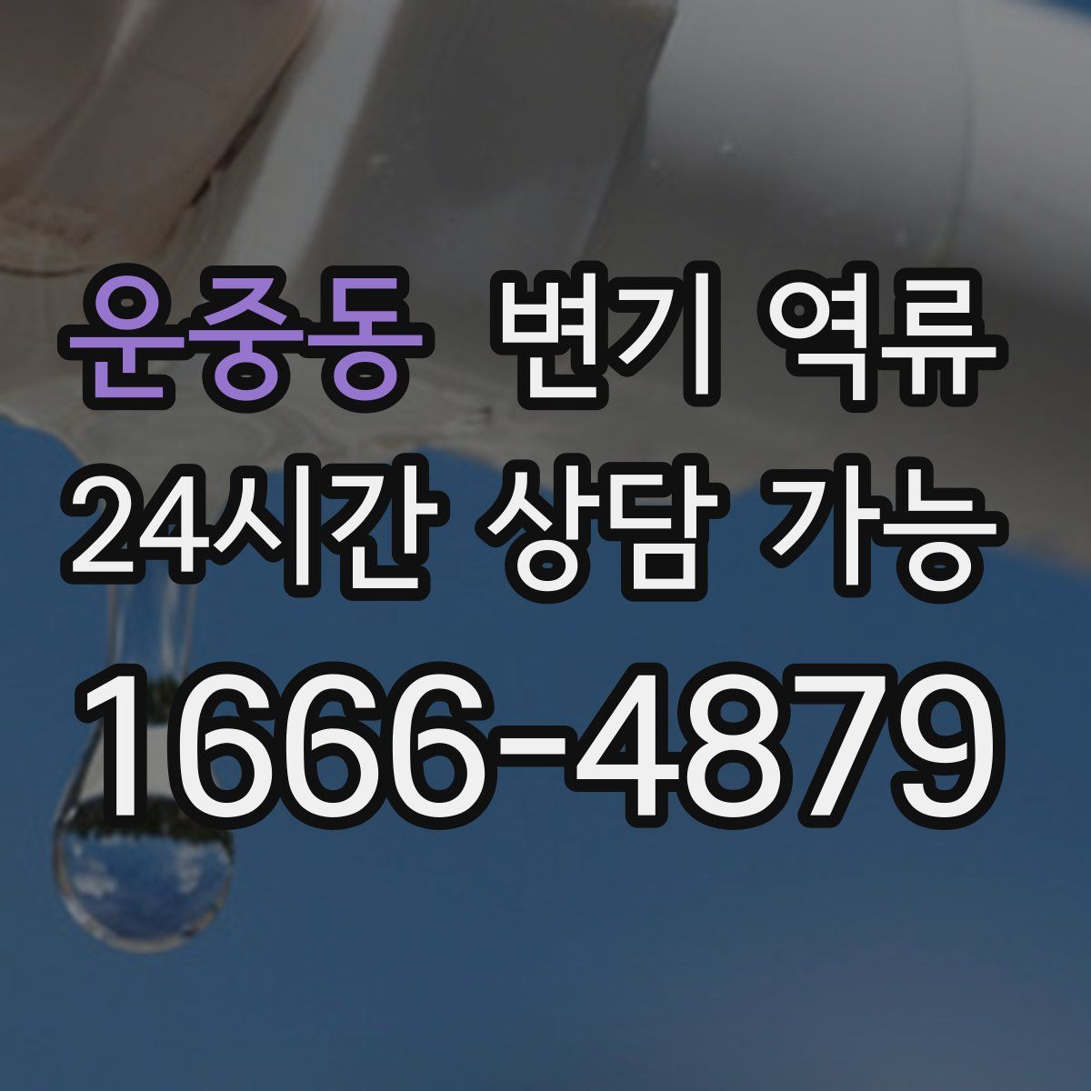 운중동 변기 역류