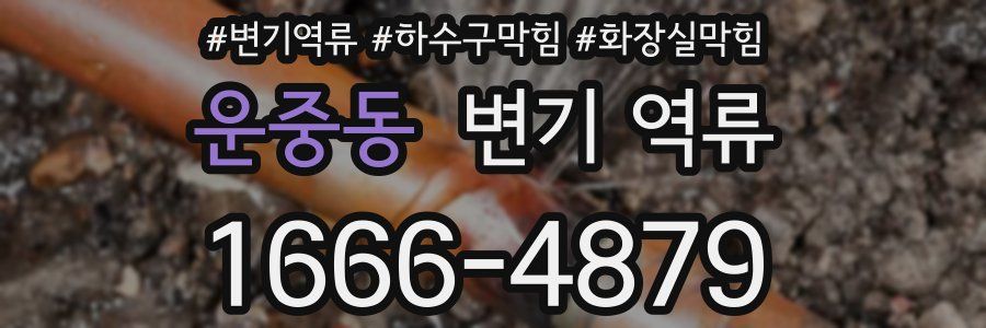 운중동 변기 역류