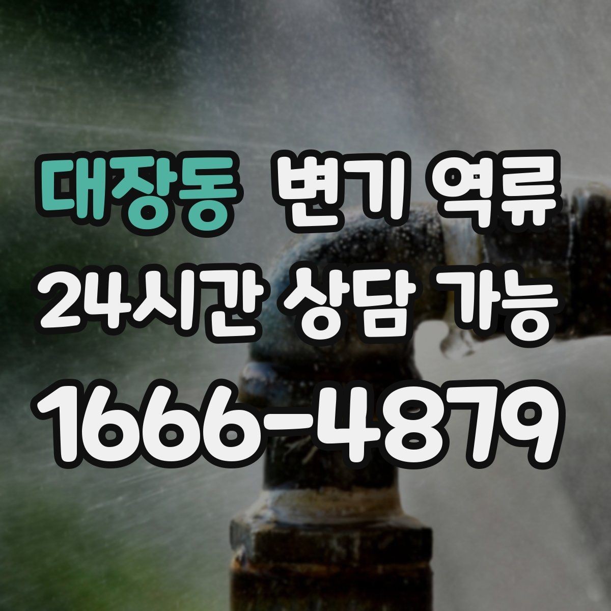 대장동 변기 역류 바닥으로 흐르기 시작했을 때 우선 조치 순서