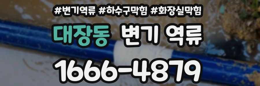 대장동 변기 역류