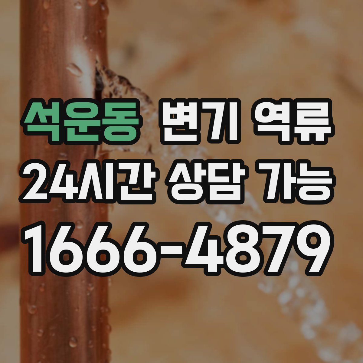 석운동 변기 역류