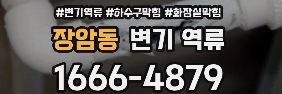 장암동 변기 역류