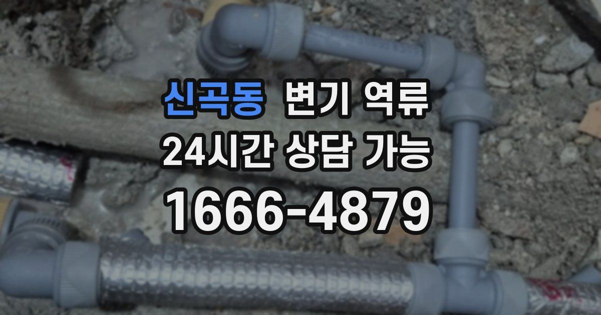 신곡동 변기 역류