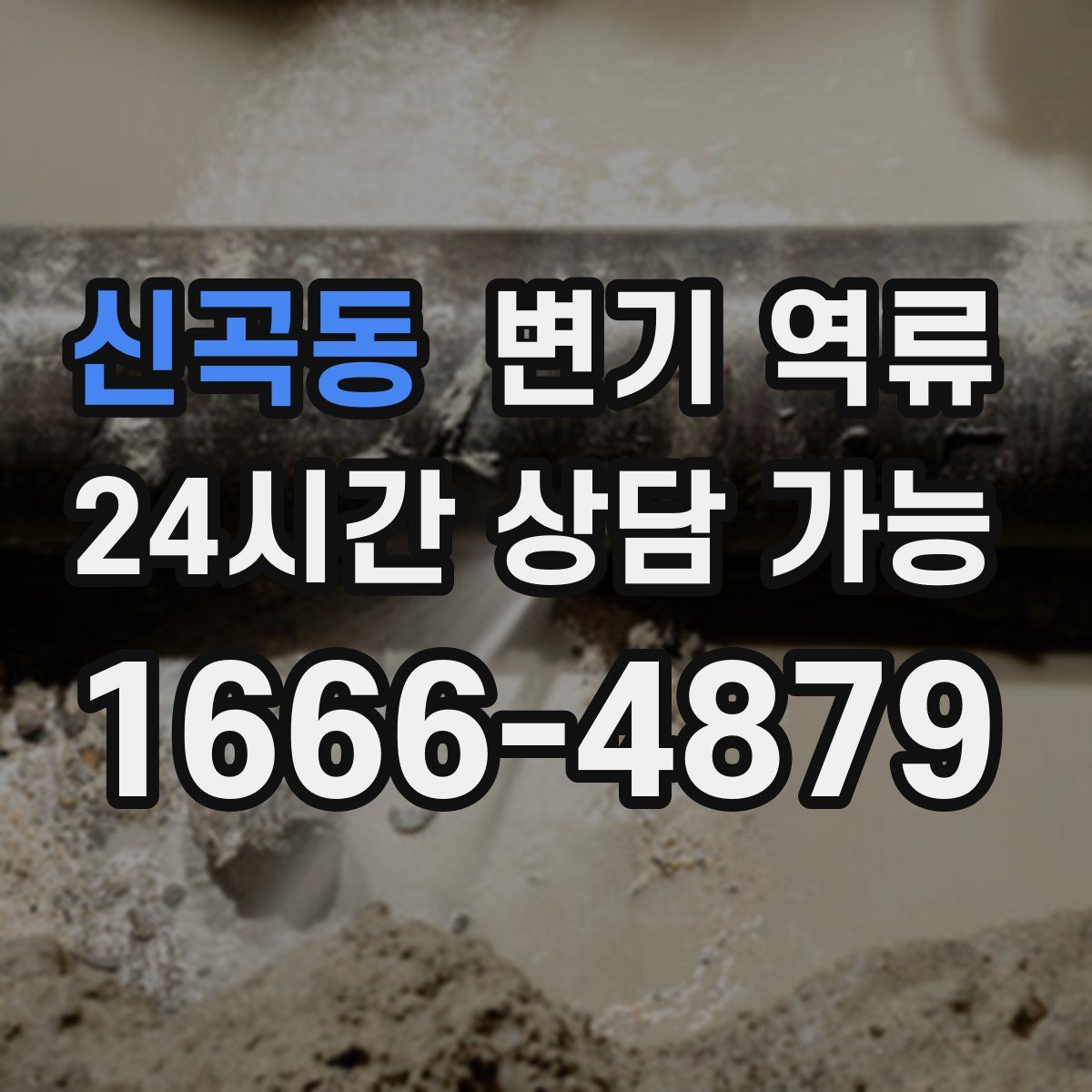 신곡동 변기 역류