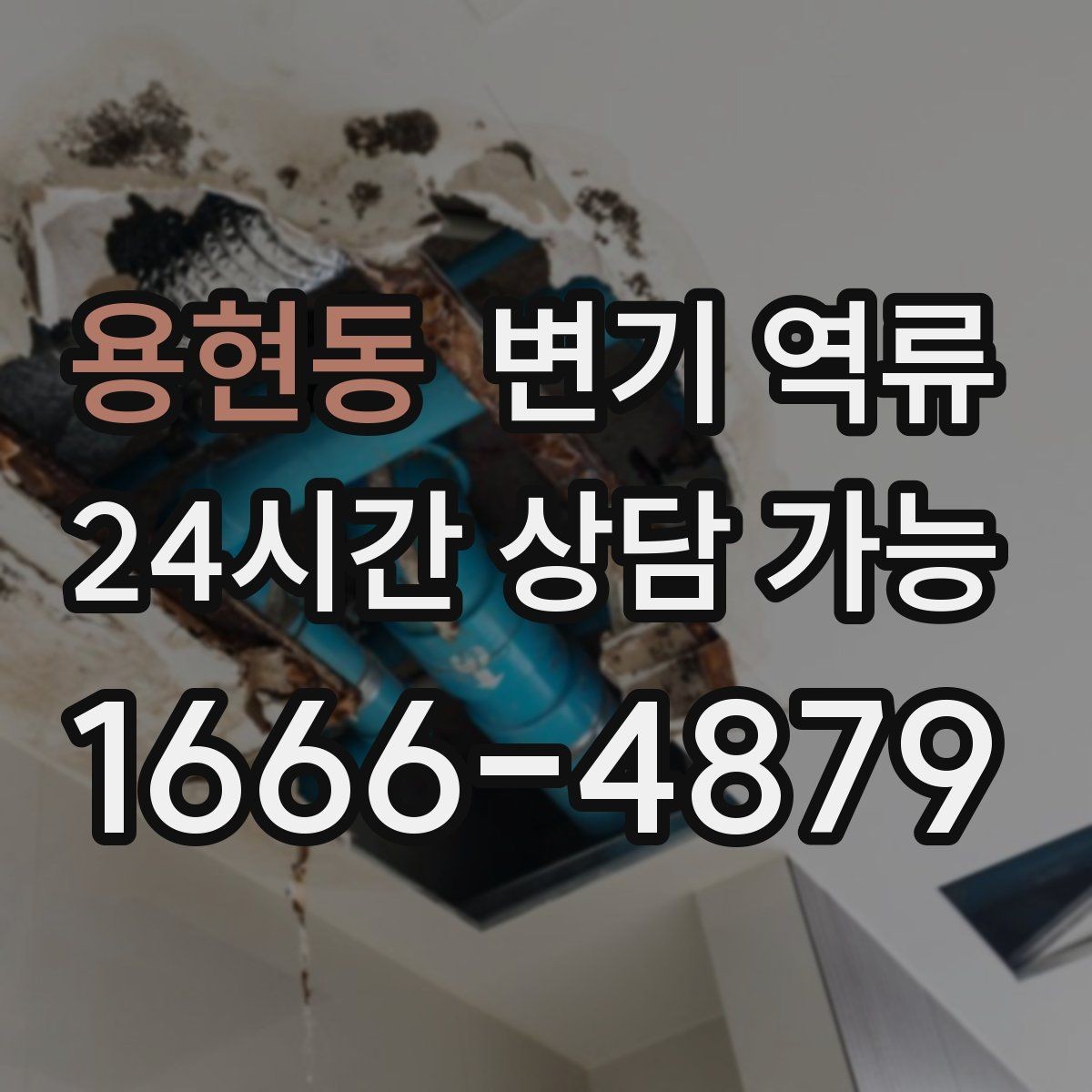 용현동 변기 역류 상가 화장실에서 더 잦은 이유를 정리