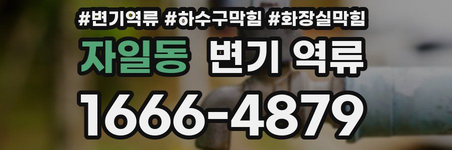 자일동 변기 역류