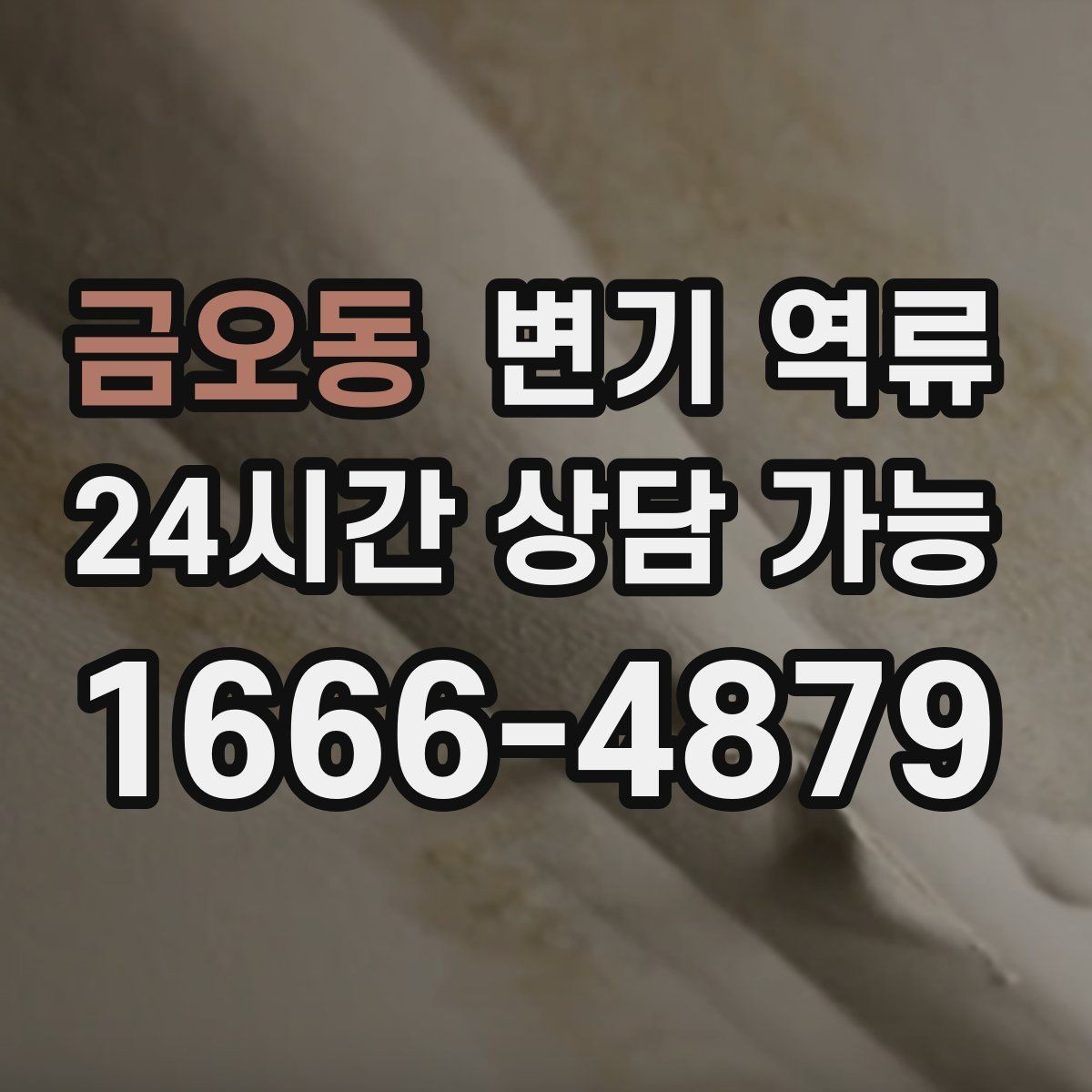 금오동 변기 역류 점검 전 준비하면 좋은 현장 정보