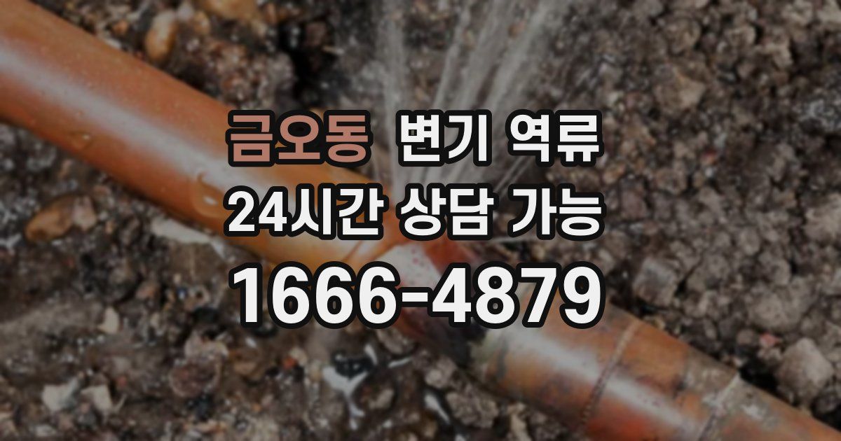 금오동 변기 역류