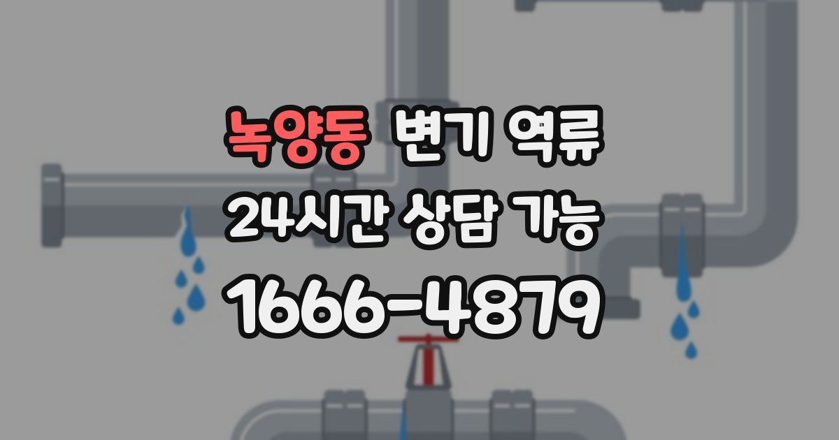 녹양동 변기 역류